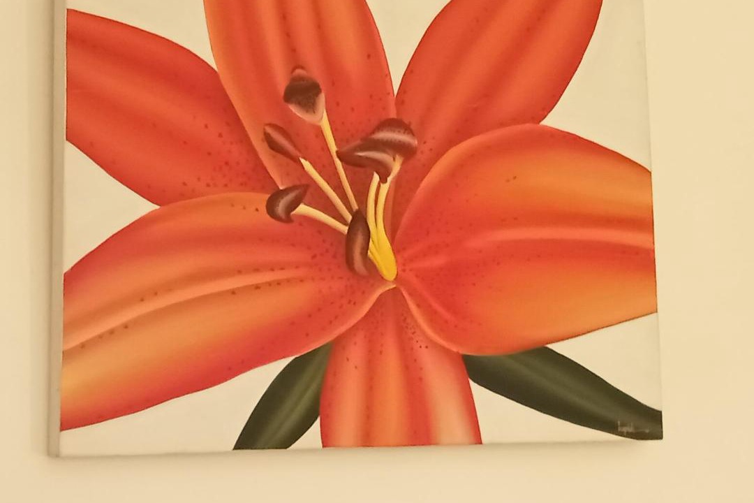 Photo of Others in Sainte-Maxime