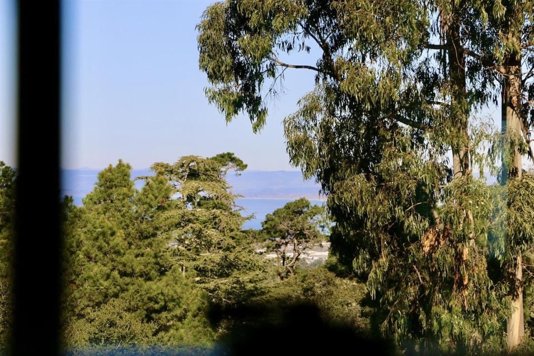 Photo of Others in Monterey