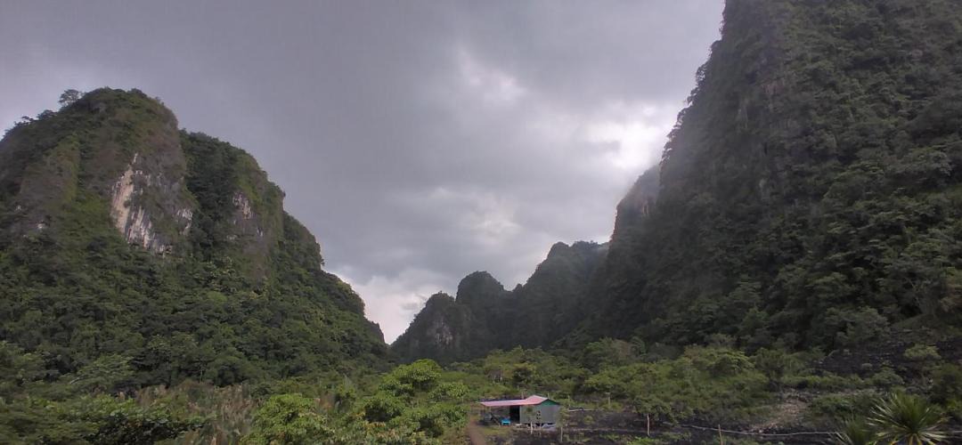 Photo of Others in Bantimurung