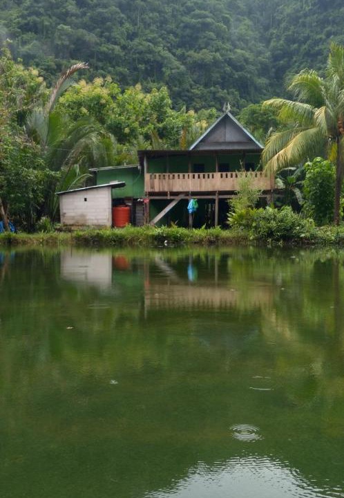 Photo of Others in Bantimurung