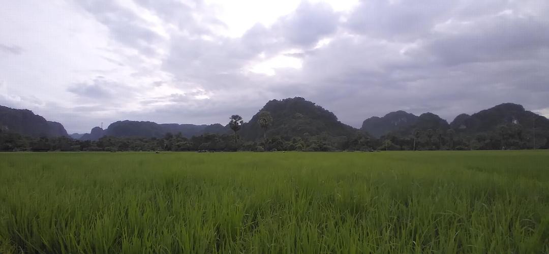 Photo of Others in Bantimurung