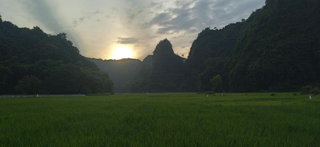 Photo of Others in Bantimurung
