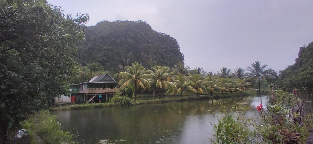 Photo of Others in Bantimurung