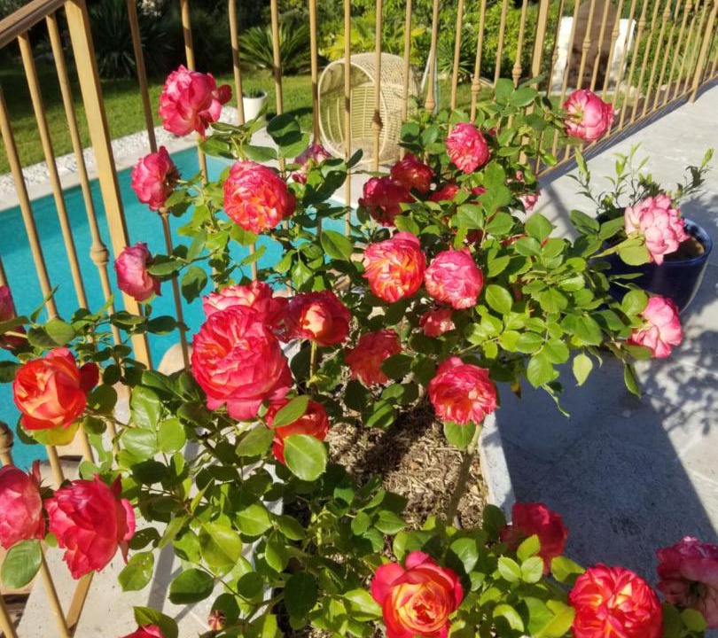 Photo of Others in Le Collet