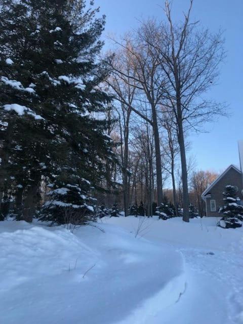 Photo of Others in Penetanguishene