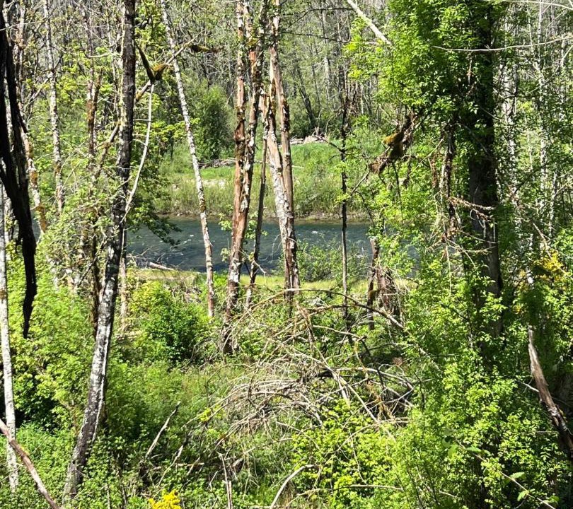 Photo of Others in Lyons