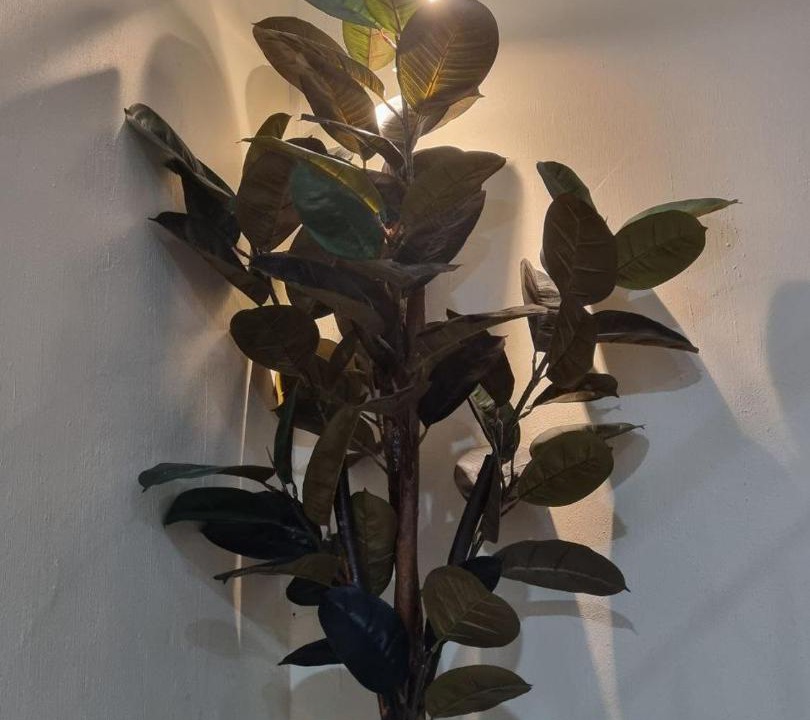 Photo of Others in Nibong Tebal