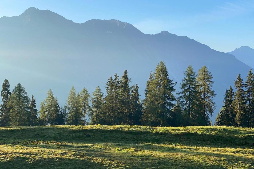 Photo of Others in Riederalp