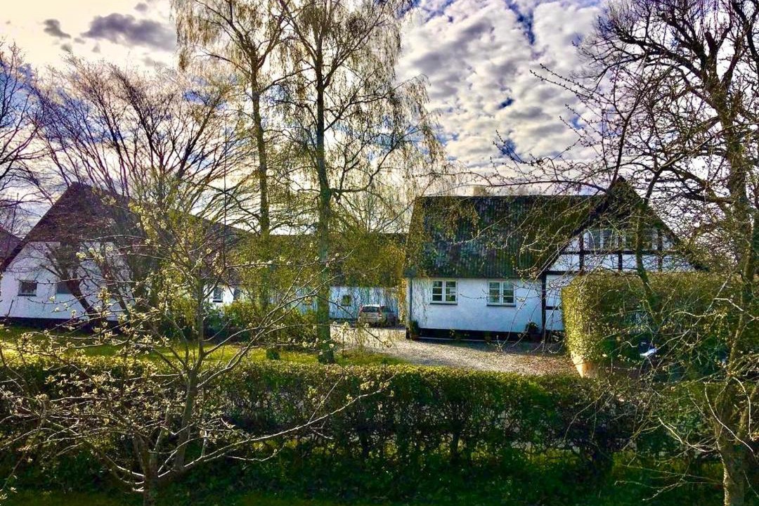 Photo of Others in Stege