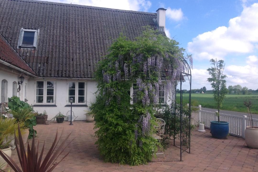 Photo of Others in Ferritslev