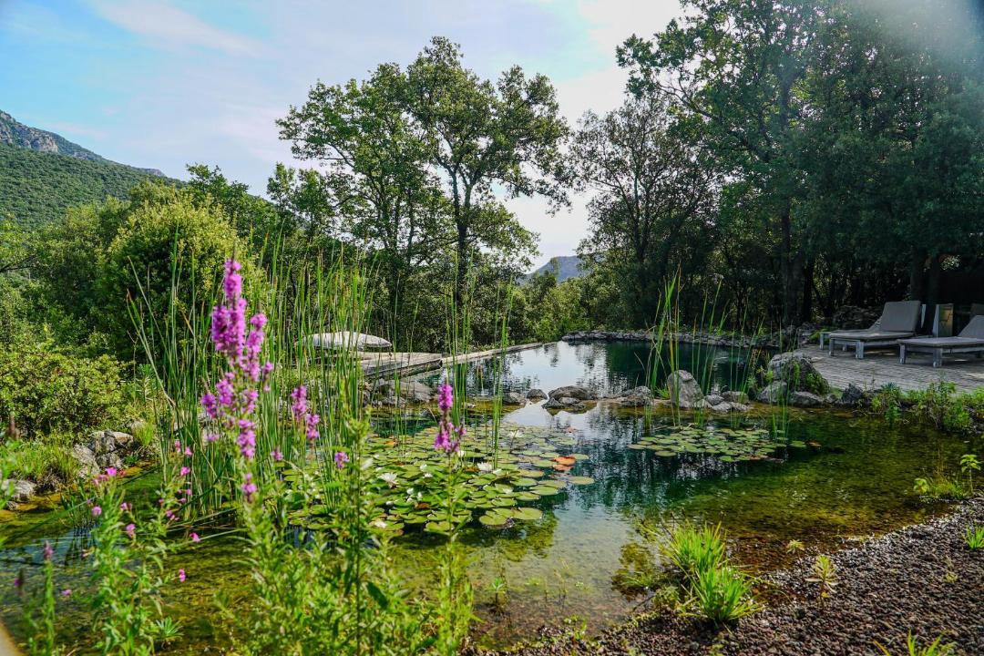 Photo of Others in Pegairolles-de-Bueges