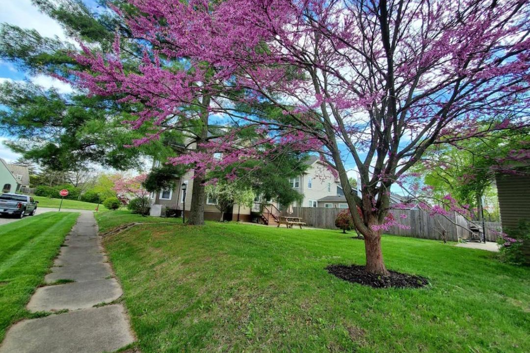 Photo of Outdoor in Middletown