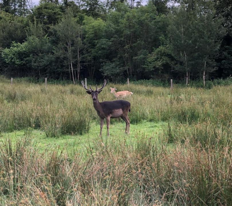 Photo of Others in La Chapelotte