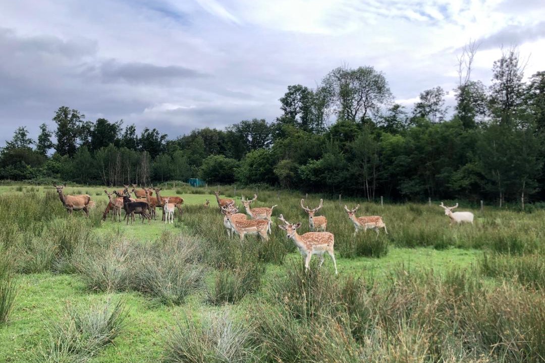 Photo of Others in La Chapelotte