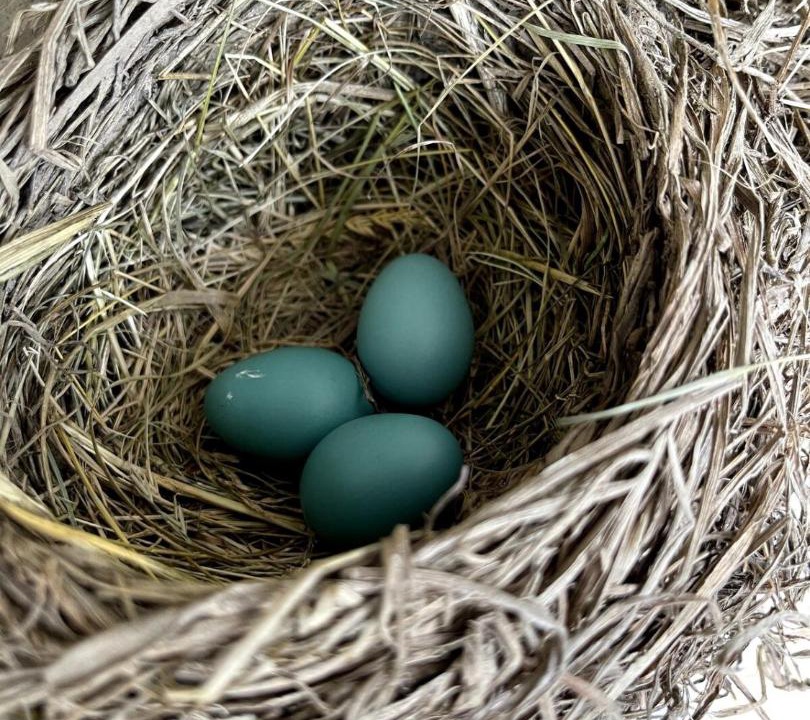 Photo of Others in Hudson