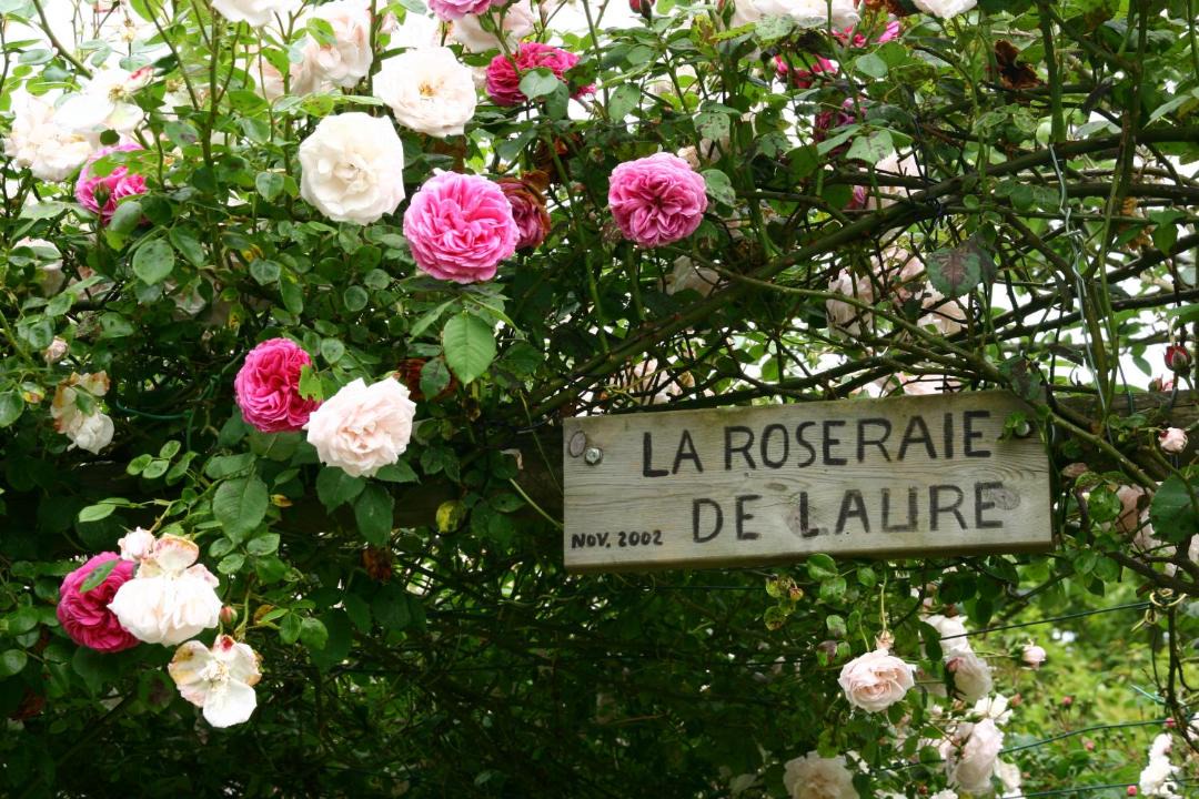 Photo of Buildings in Vouilly