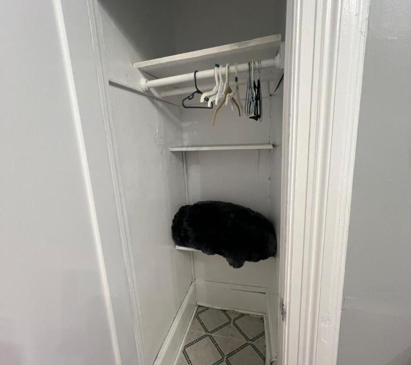 Photo of Others in Weehawken