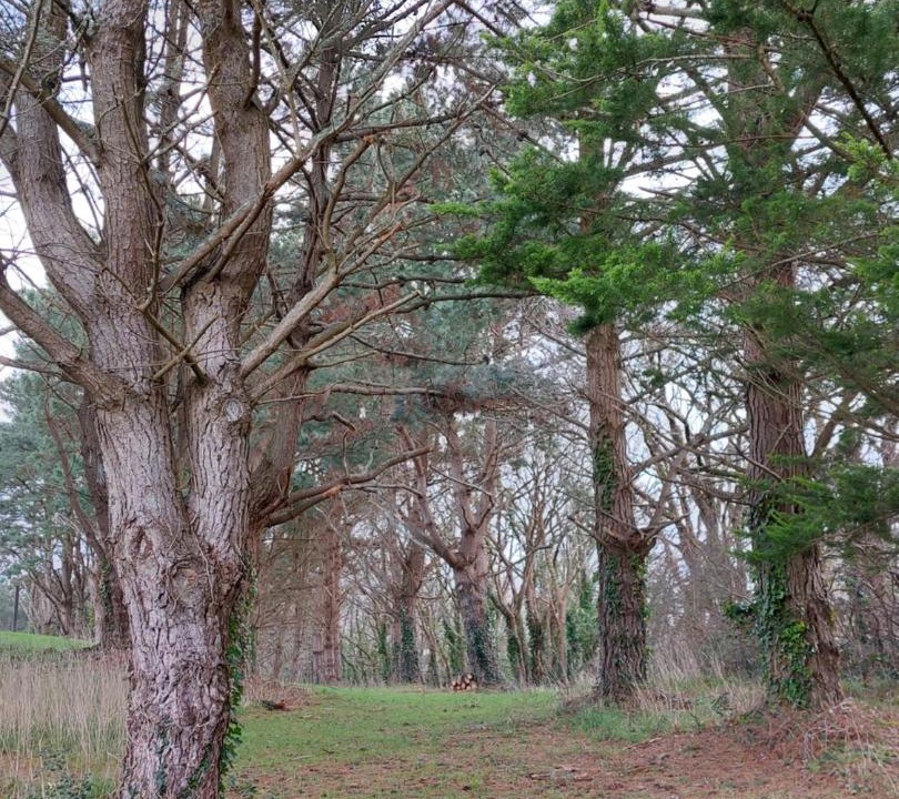 Photo of Others in Saint-Andre-des-Eaux