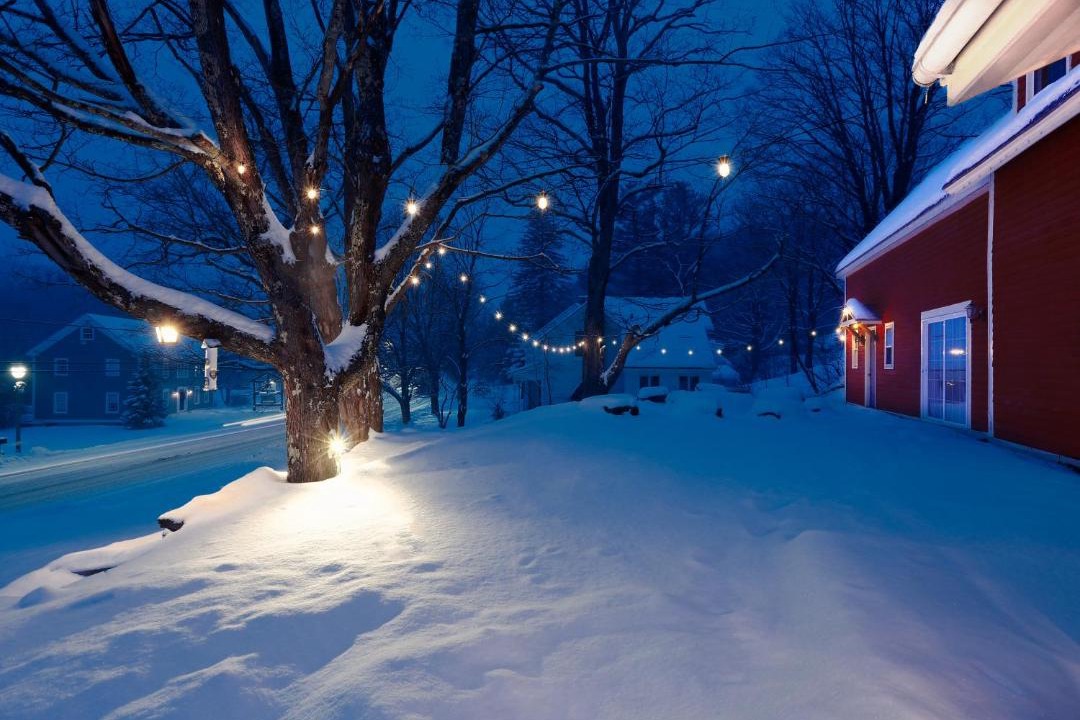 Photo of Others in West Dover