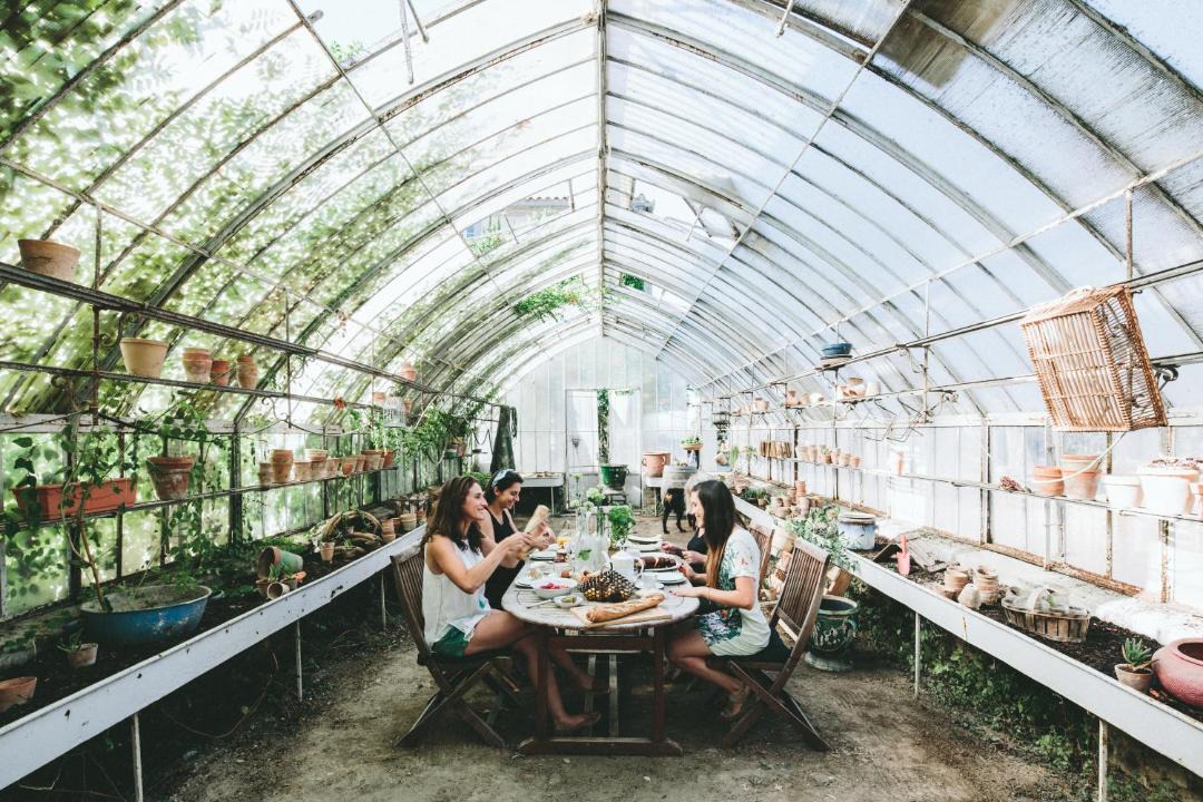 Photo of Others in Paraza