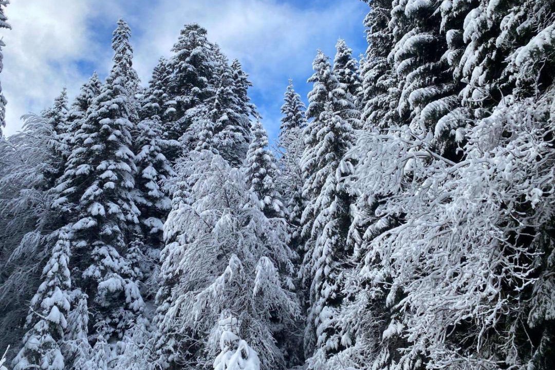 Photo of Others in Vionnaz