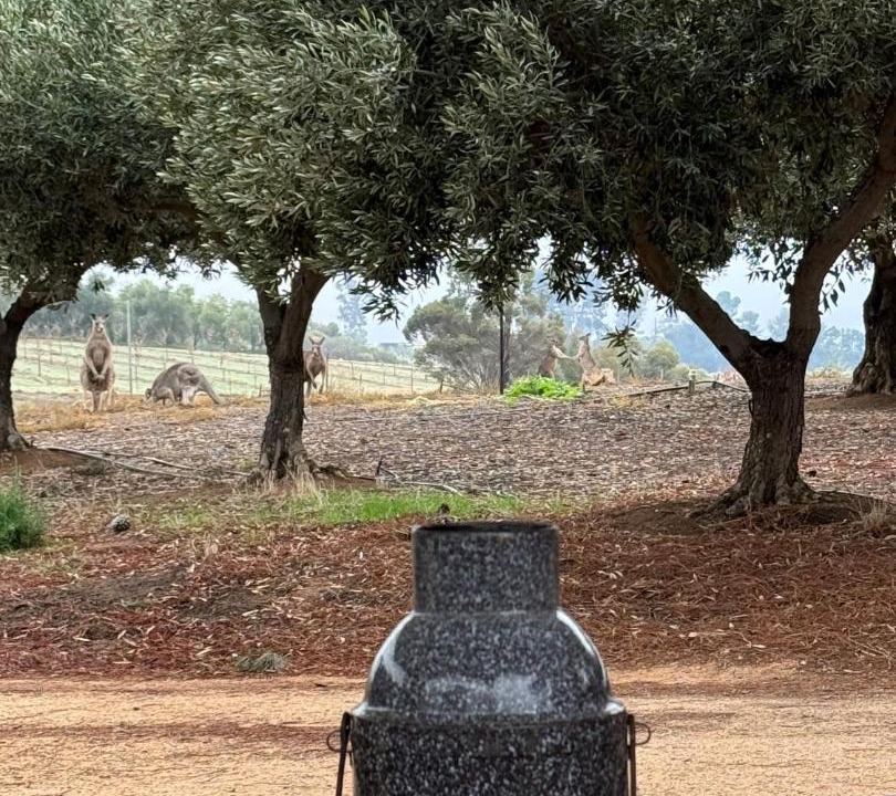 Photo of Others in Markaranka