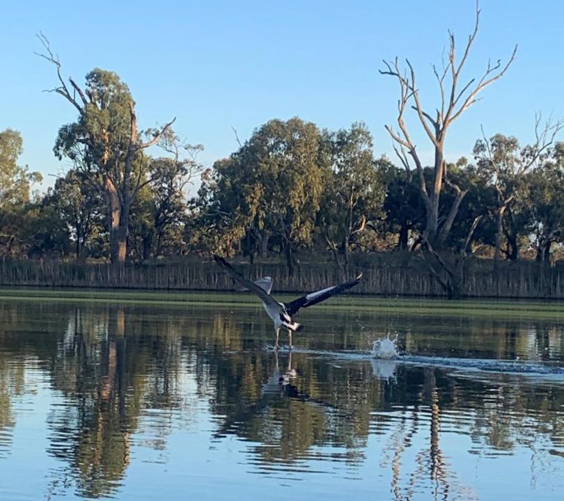 Photo of Others in Markaranka