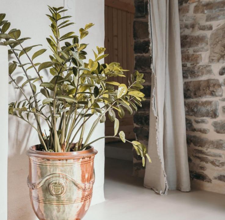 Photo of Others in Pompignan