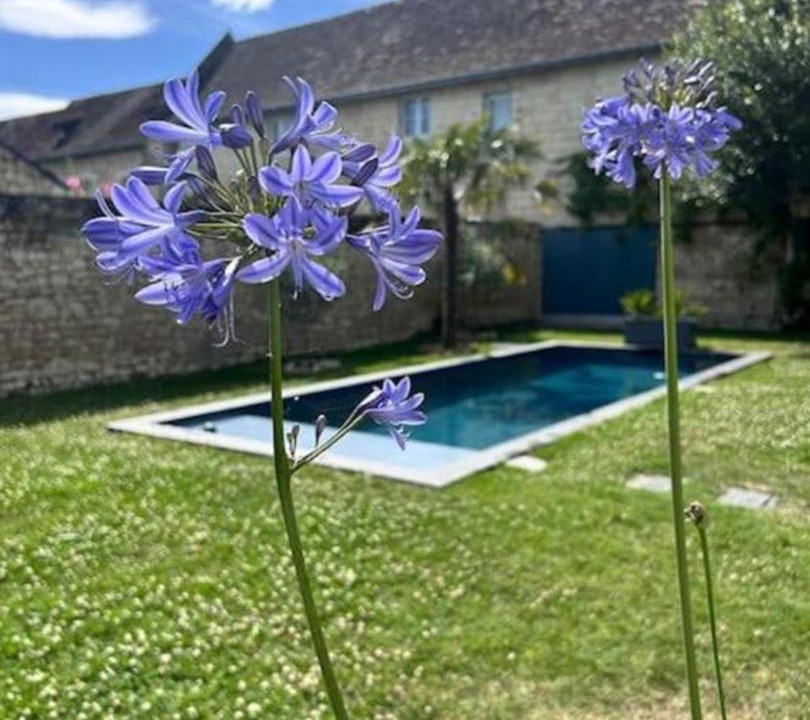 Photo of Others in Tavant