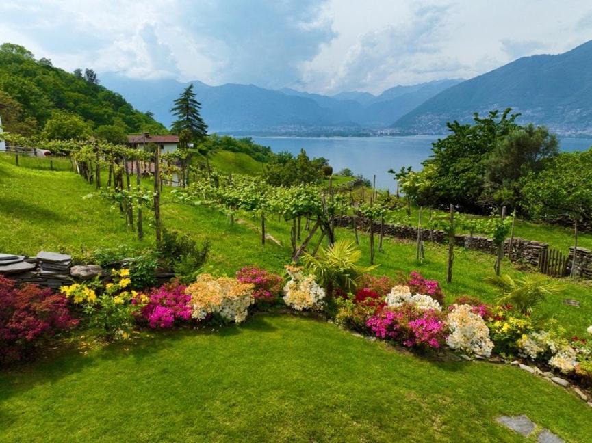 Photo of Others in Magadino