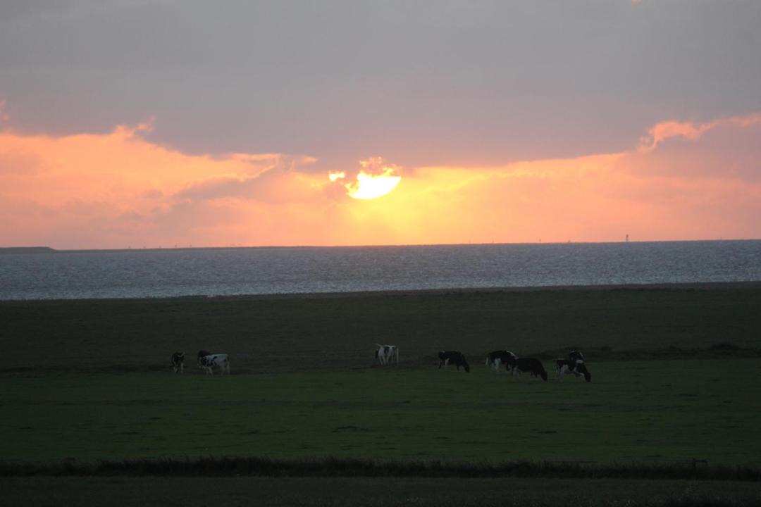 Photo of Others in Skaerbaek