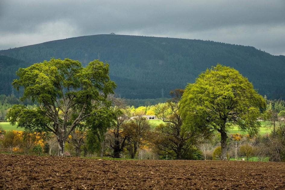 Photo of Others in Evanton