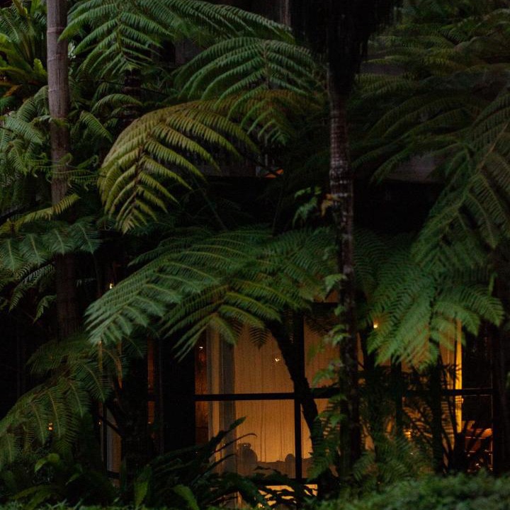 Photo of Others in Kedewatan