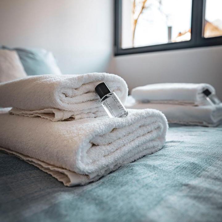 Photo of Bedroom in Thyez