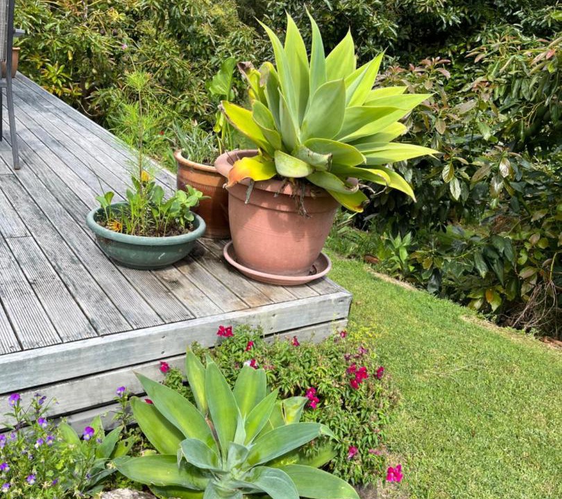 Photo of Others in Aongatete