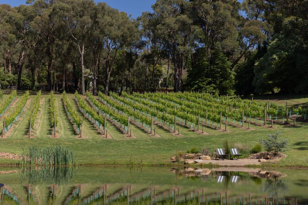 Photo of Others in Red Hill South