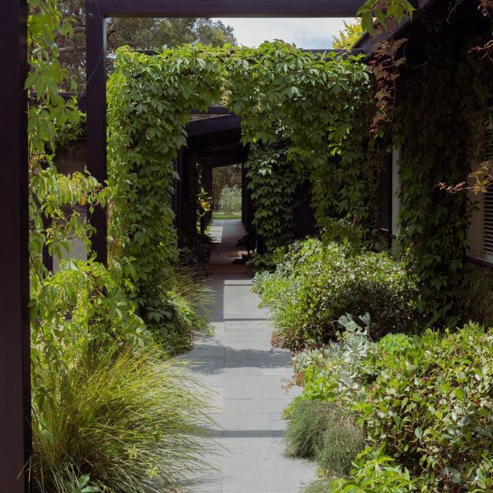 Photo of Others in Red Hill South