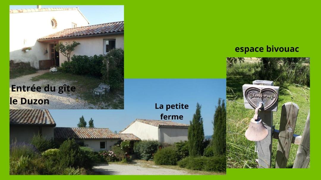 Photo of Others in Plats