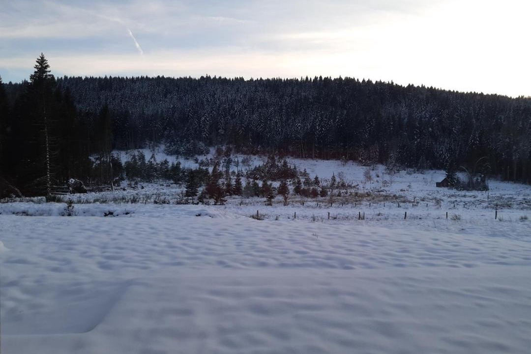 Photo of Others in Liezey