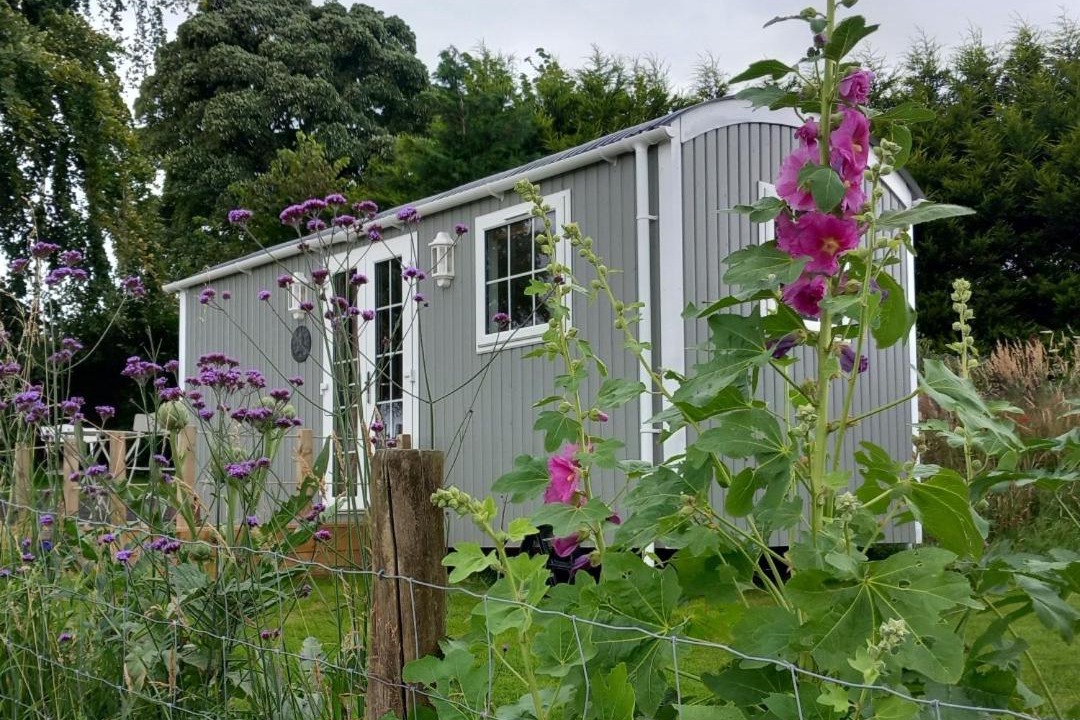 Photo of Others in Carlisle