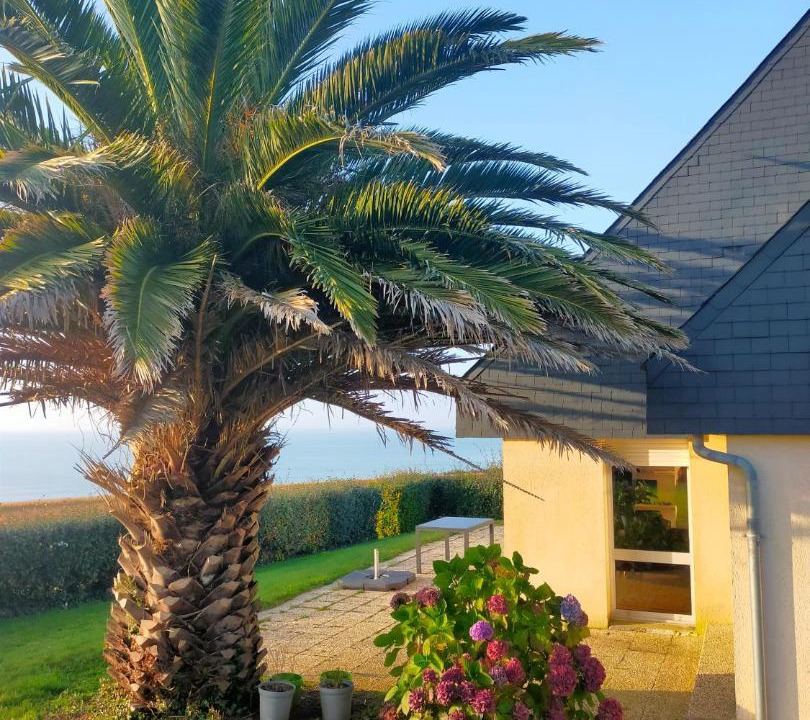 Photo of Others in Plonevez-Porzay