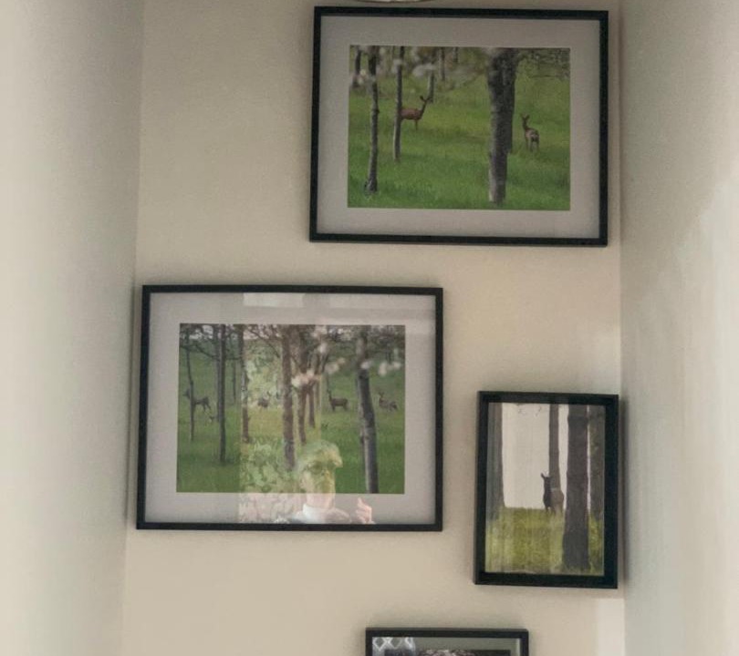 Photo of Others in Montagnac-sur-Auvignon