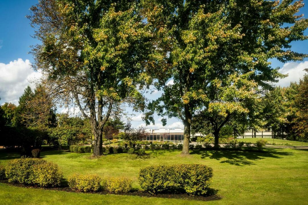 Photo of Others in Dorval