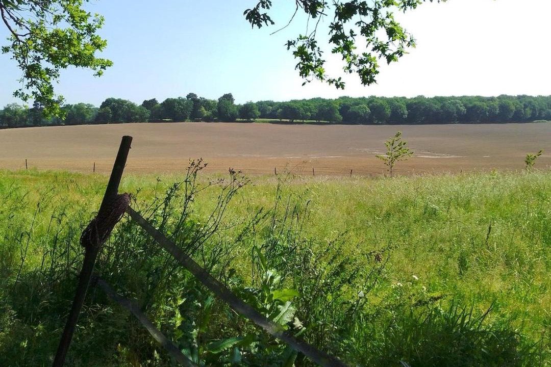 Photo of Others in Vergoignan