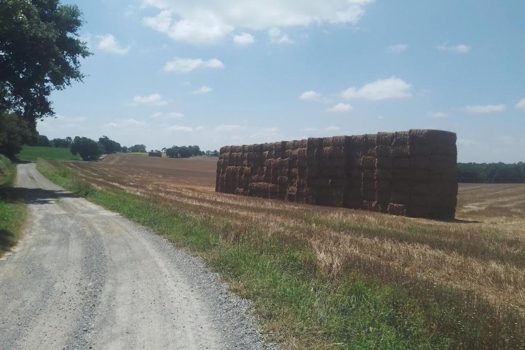 Photo of Others in Vergoignan