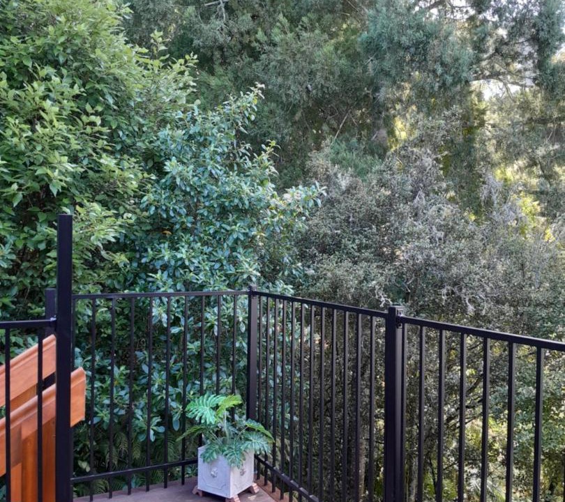 Photo of Patio Balcony in Titirangi