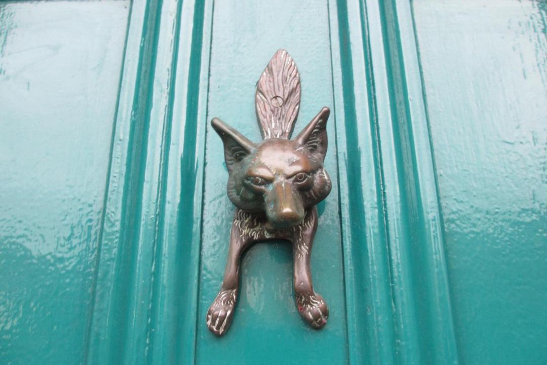 Photo of Human In Picture in Carlisle