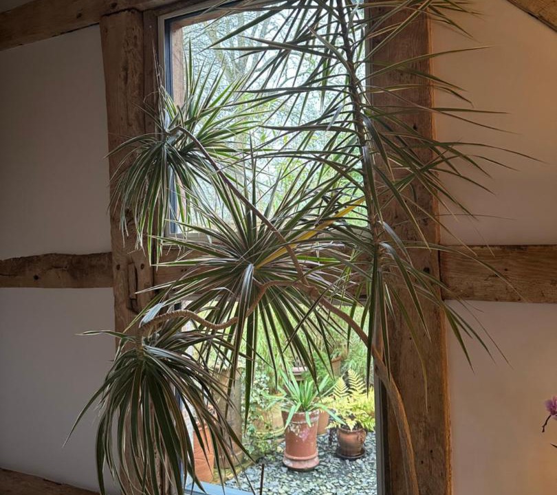 Photo of Others in Braishfield