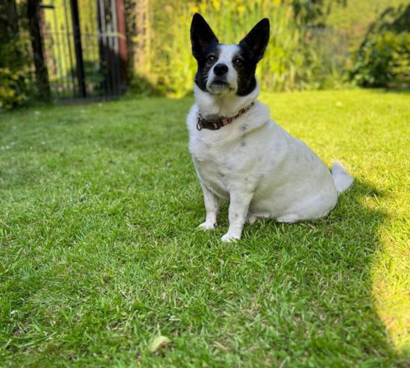 Photo of Others in Broadway