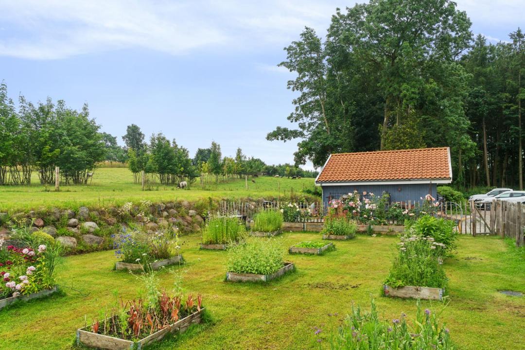 Photo of Others in Svebolle